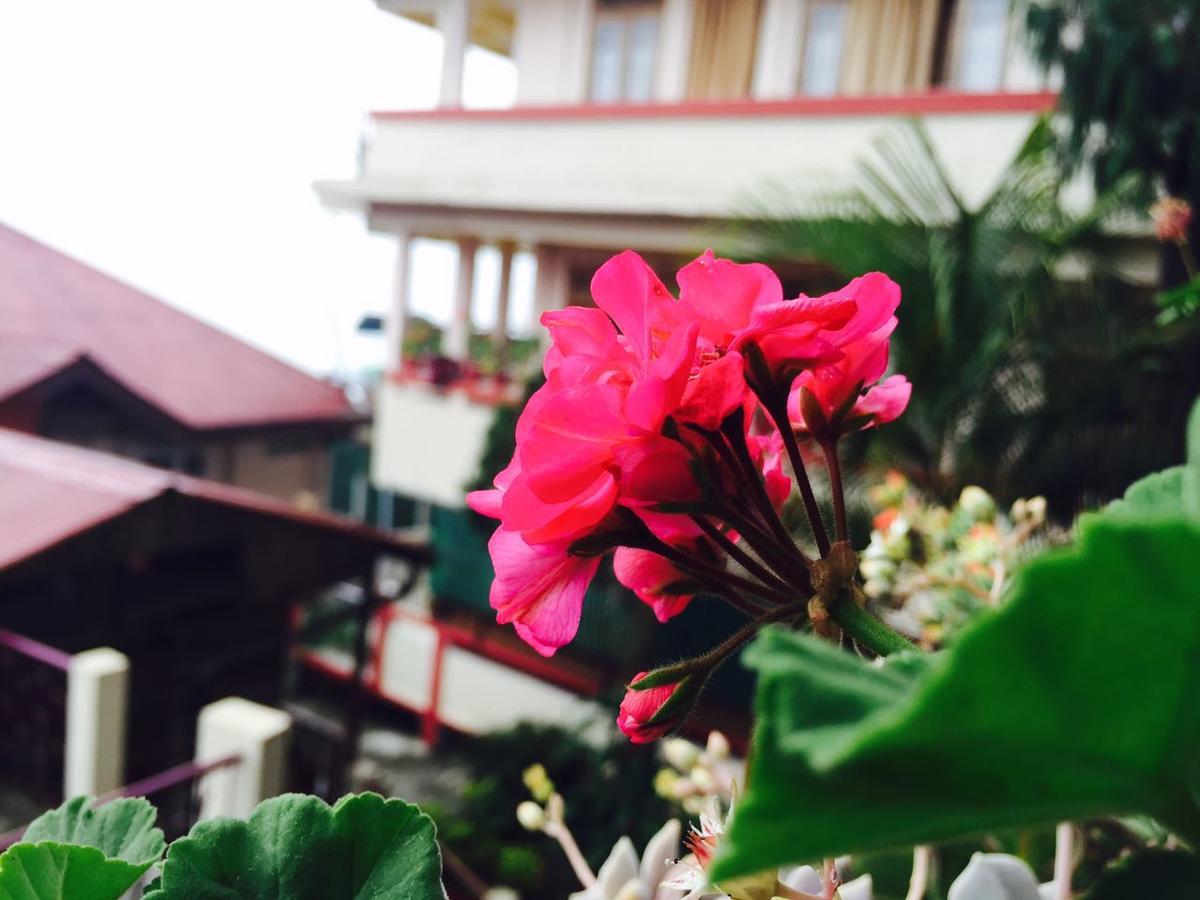 Deki Lodge Kalimpong Kültér fotó
